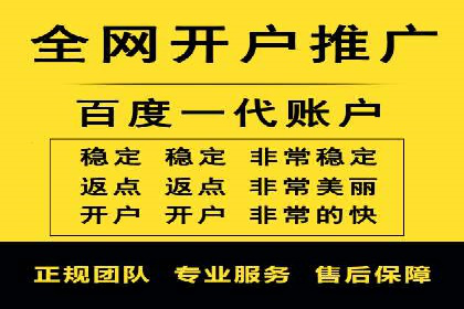 Sem优化公司案例：精准广告投放策略解析