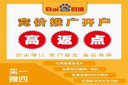 SEM代理服务：助力企业精准营销案例解析